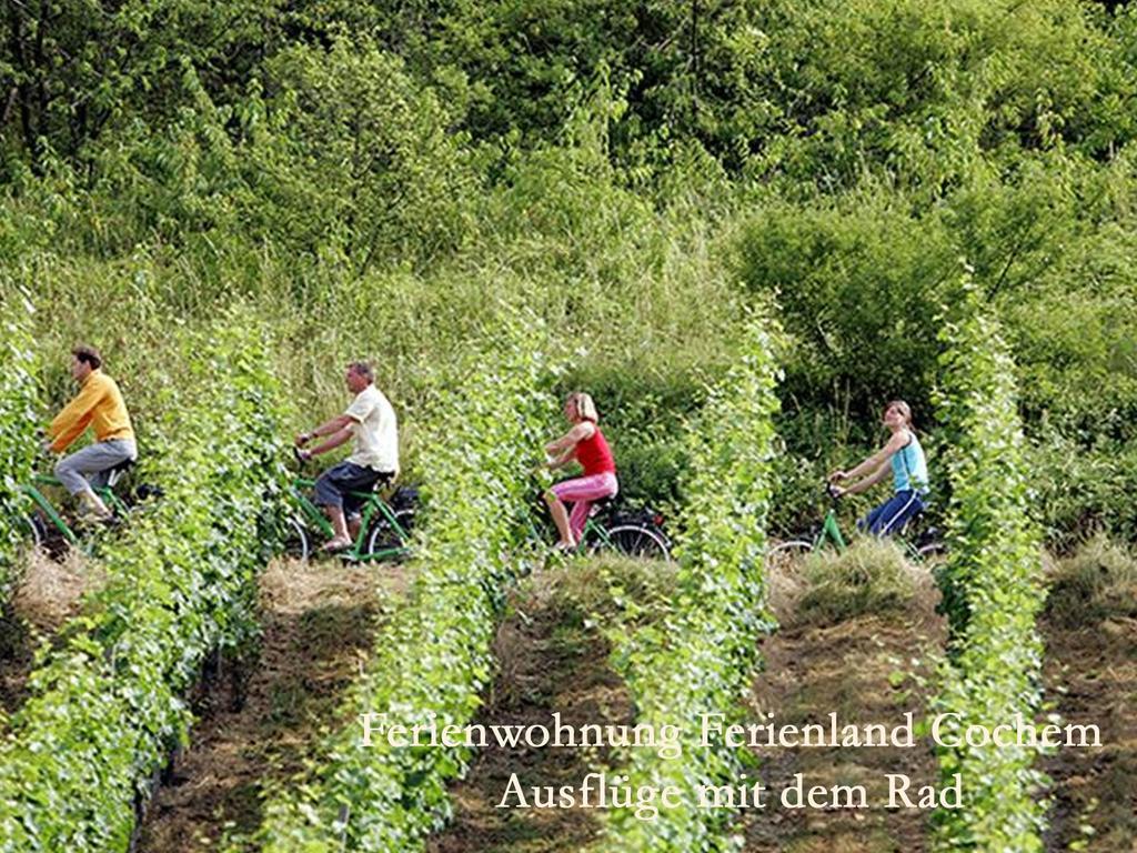 Ferienwohnungen Ferienland Cochem Bruttig-Fankel Ngoại thất bức ảnh